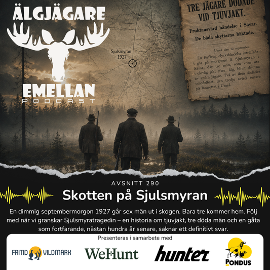 290. Skotten på Sjulsmyran