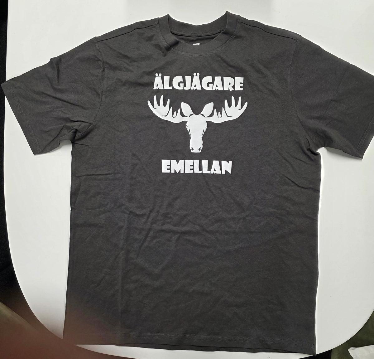 T-Shirt (Grå) Begränsat antal – först till kvarn!