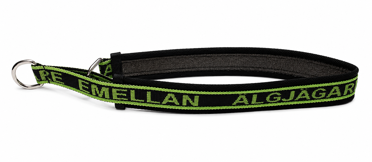Hundhalsband